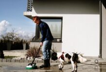 Nowoczesne myjki ciśnieniowe STALCO