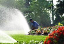 Co nowego w firmie ADVISER?