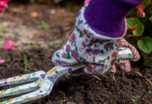 PROLINE PREMIUM i LAHTI PRO dla kobiet