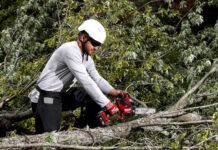 Narzędzia ogrodowe – moc bez spalin? Naturalnie!