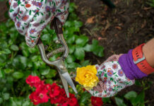 Sekator nożycowy Premium PROLINE 40017