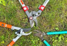 Sekator dwuręczny do grubszych gałęzi.