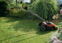 Jaką kosiarkę wybrać do małego ogrodu? Kosiarka elektryczna do małego ogrodu