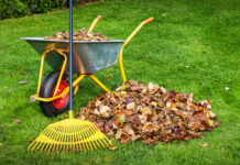 Jakie grabie do liści wybrać? Grabie do liści