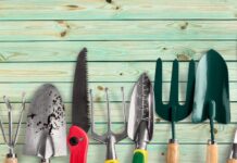 Jak czyścić narzędzia ogrodnicze na zimę? Narzędzia ogrodnicze
