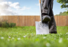 Jaki szpadel wybrać do prac ogrodowych? Szpadel ogrodniczy