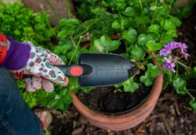 Łopatka Proline Łopatka Ogrodowa Proline